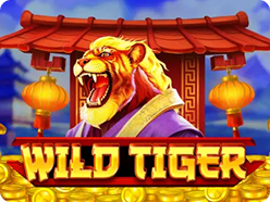 Wild Tiger herní automat